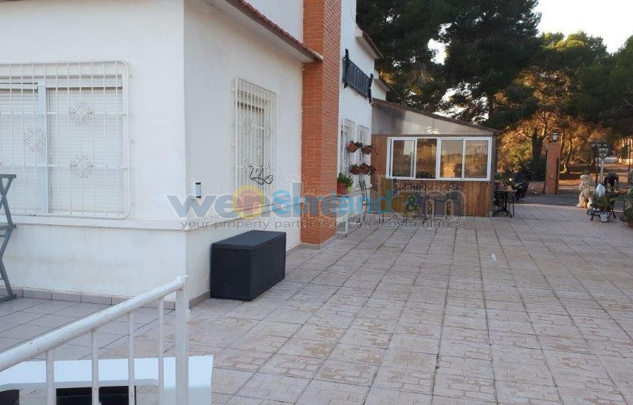 Använda fastigheter - Villa - Torrevieja - Los Balcones