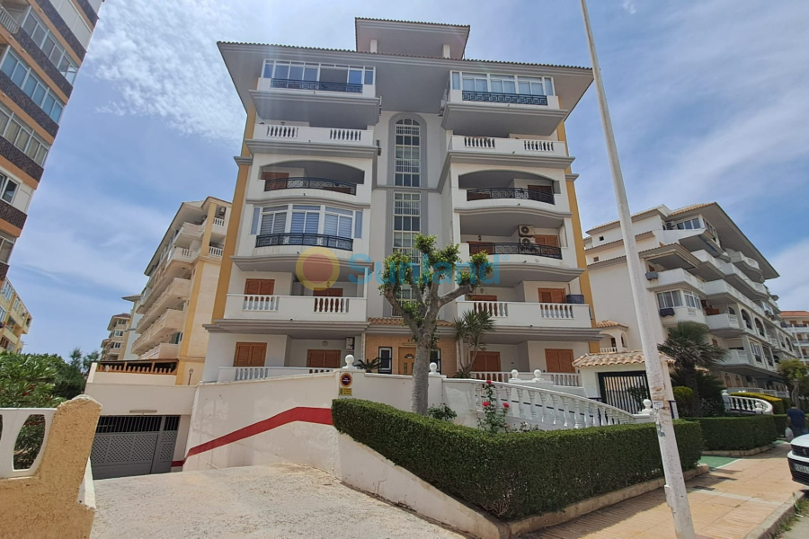 Resale - Apartment - La Mata