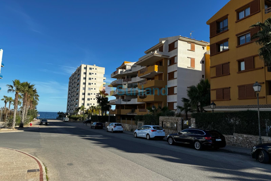 Använda fastigheter - Lägenhet - Orihuela Costa - Punta Prima