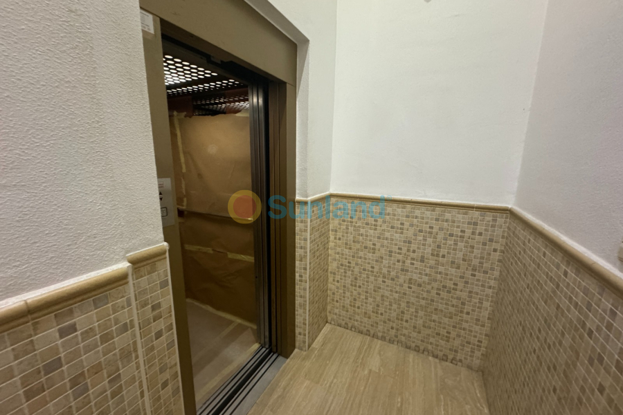 Verkauf - Apartment - Guardamar del Segura - 