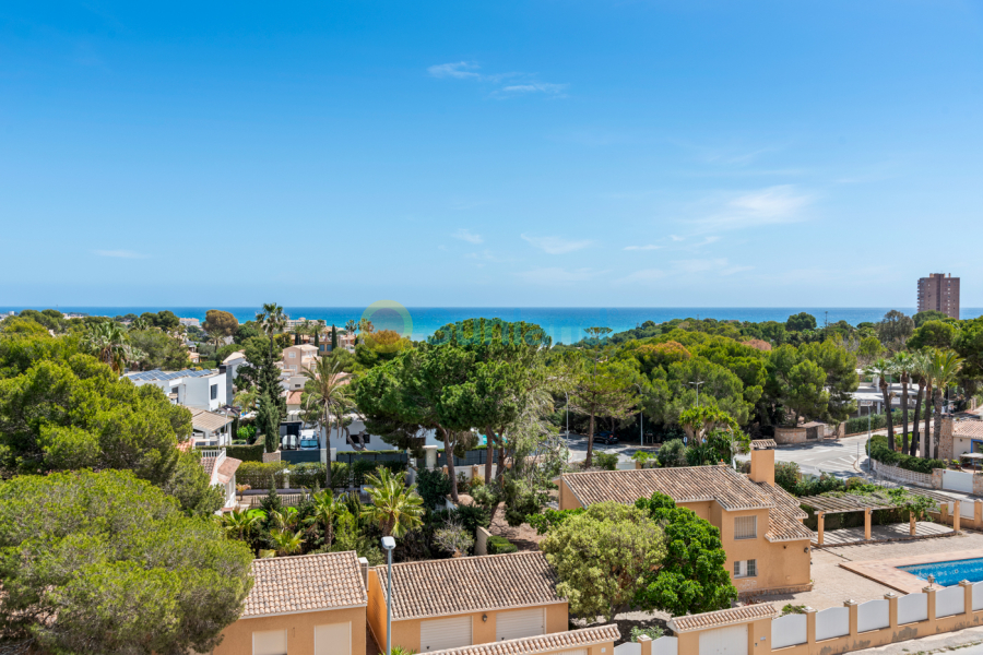 Använda fastigheter - Lägenhet - Orihuela Costa - Campoamor