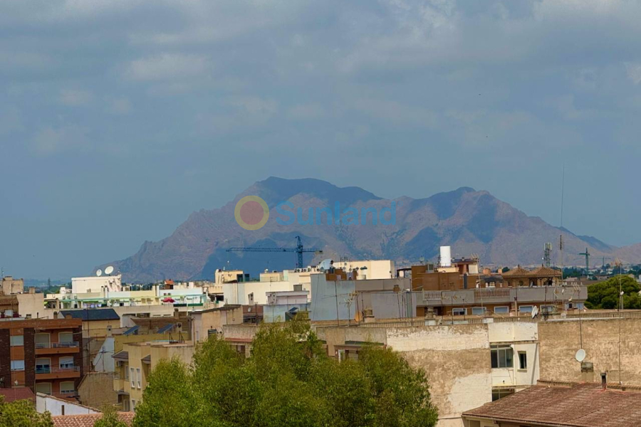 Använda fastigheter - Lägenhet - Formentera del Segura