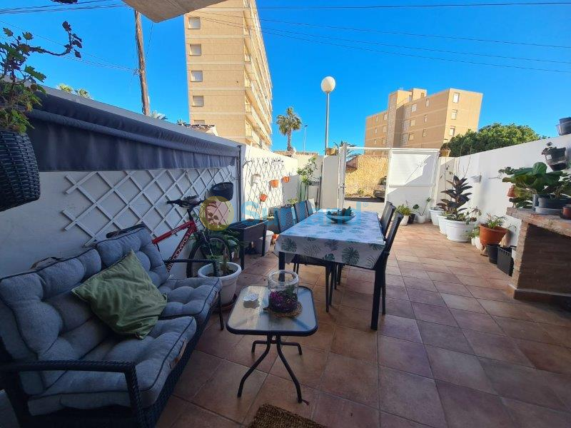 Segunda mano - Duplex - Torrevieja - Los Frutales