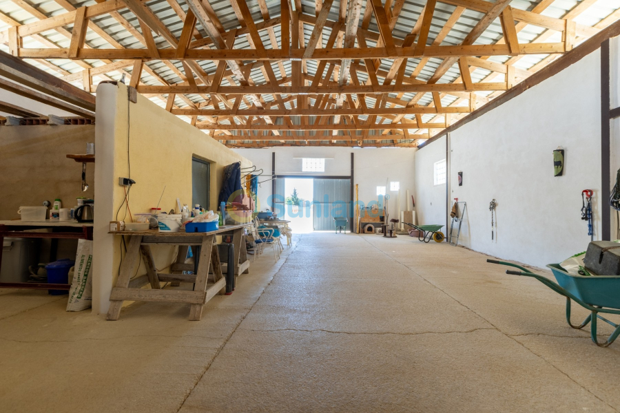 Resale - Country house - Torre Del Rico