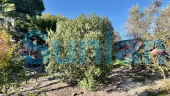 Resale - Villa - Guardamar del Segura
