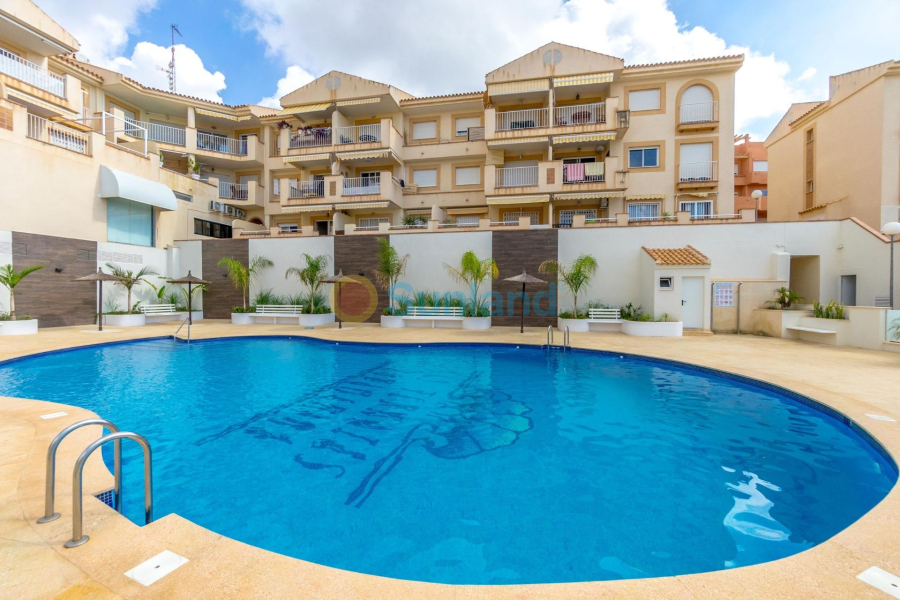 Verkauf - Apartment - Orihuela Costa - Campoamor