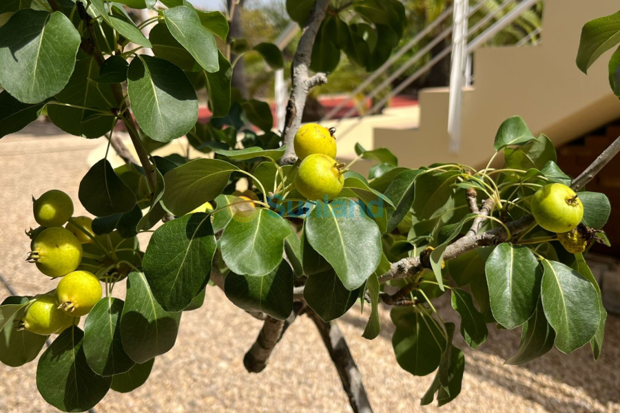 Resale - Villa - Benidorm