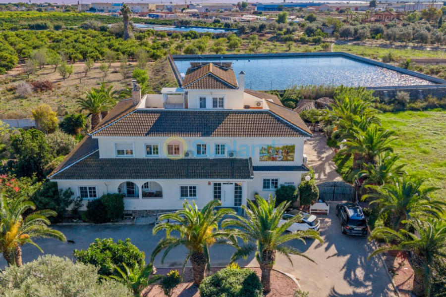 Segunda mano - Country house - Los Montesinos