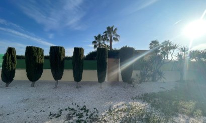 Resale - Finca / Country Property - Elche - Las Bayas
