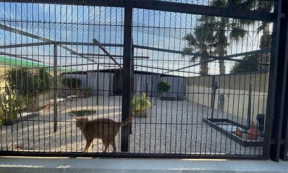 Resale - Finca / Country Property - Elche - Las Bayas