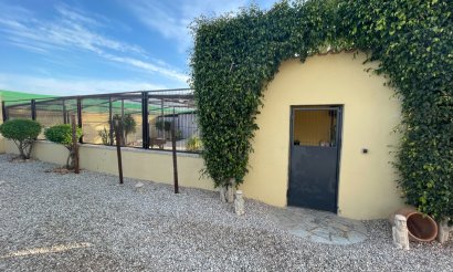 Resale - Finca / Country Property - Elche - Las Bayas