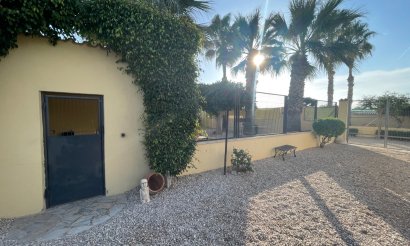 Resale - Finca / Country Property - Elche - Las Bayas