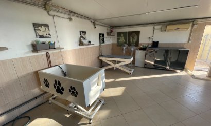 Resale - Finca / Country Property - Elche - Las Bayas