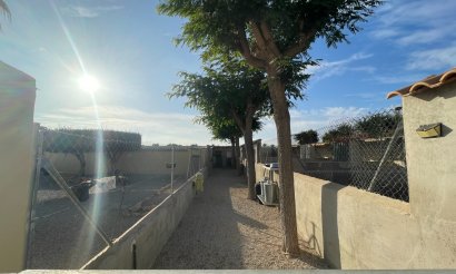 Resale - Finca / Country Property - Elche - Las Bayas