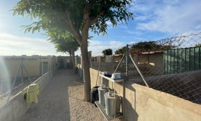 Resale - Finca / Country Property - Elche - Las Bayas