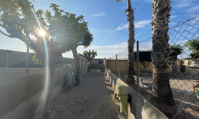 Resale - Finca / Country Property - Elche - Las Bayas