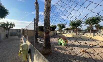 Resale - Finca / Country Property - Elche - Las Bayas