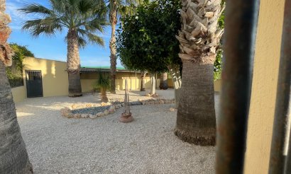 Resale - Finca / Country Property - Elche - Las Bayas