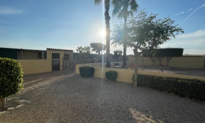 Resale - Finca / Country Property - Elche - Las Bayas