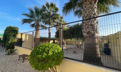Resale - Finca / Country Property - Elche - Las Bayas
