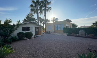 Resale - Finca / Country Property - Elche - Las Bayas