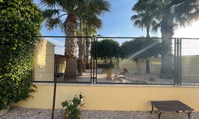 Resale - Finca / Country Property - Elche - Las Bayas
