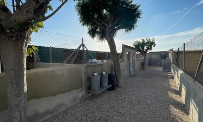 Resale - Finca / Country Property - Elche - Las Bayas