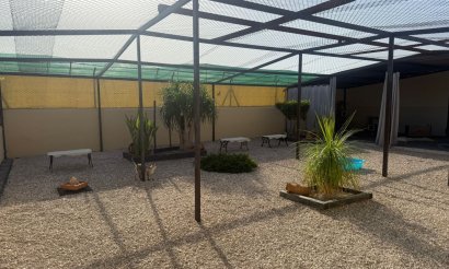 Resale - Finca / Country Property - Elche - Las Bayas