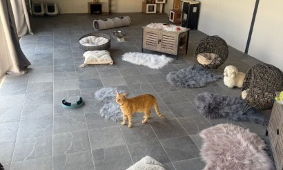 Resale - Finca / Country Property - Elche - Las Bayas