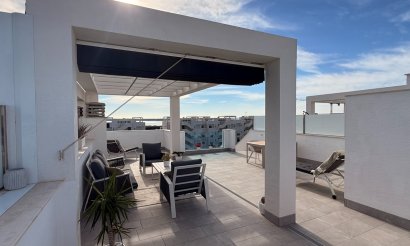 Resale - Apartment - Flat - Guardamar del Segura - El Raso