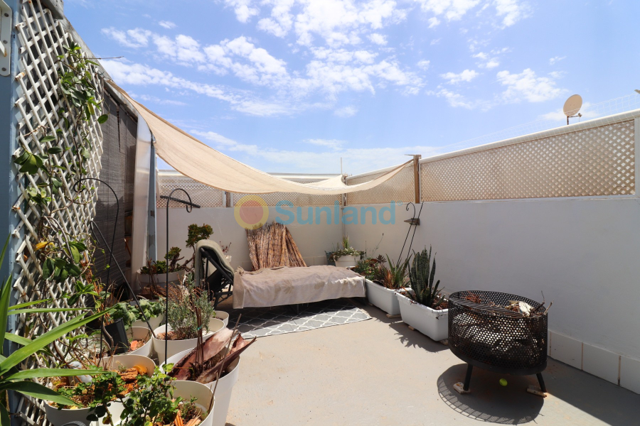 Segunda mano - Apartamento - Torrevieja - La Siesta