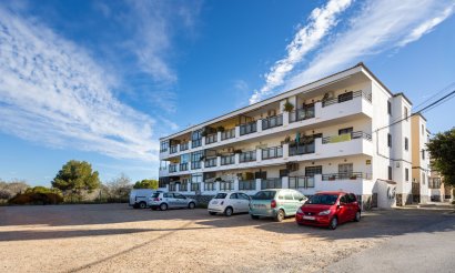 Resale - Apartment - Flat - Torrevieia - La Siesta