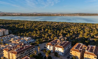Resale - Apartment - Flat - Torrevieia - La Siesta