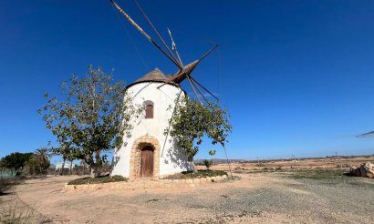 Resale - Finca / Country Property - Torre Pacheco - 