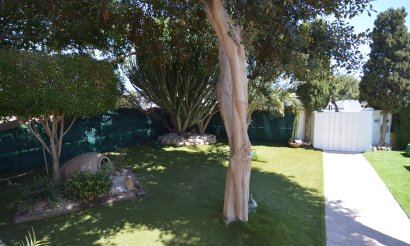 Använda fastigheter - Villa - Torrevieia - Torrevieja