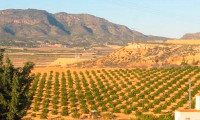 Verkauf - Grundstück - Torre Pacheco - 