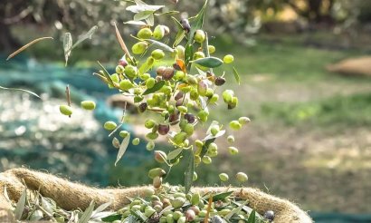 Verkauf - Grundstück - Murcia - Rincón de Seca