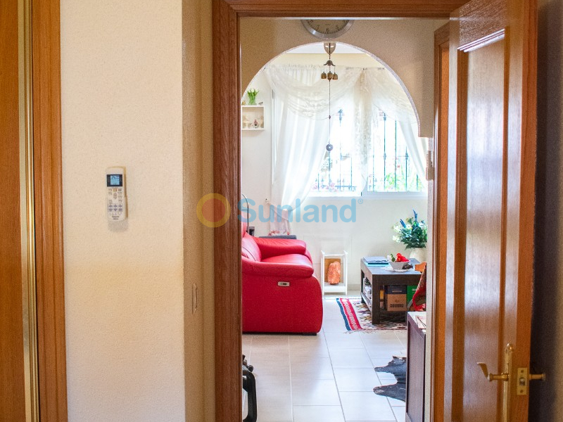 Segunda mano - Adosado - Orihuela - Villamartín