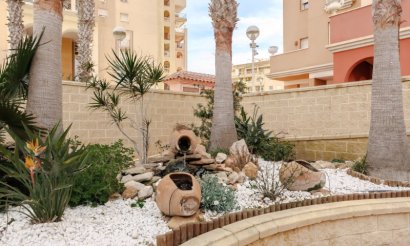 Resale - Apartment - Flat - Torrevieia - 