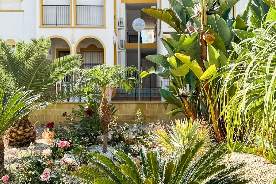 Resale - Apartment - Torrevieja - La Mata