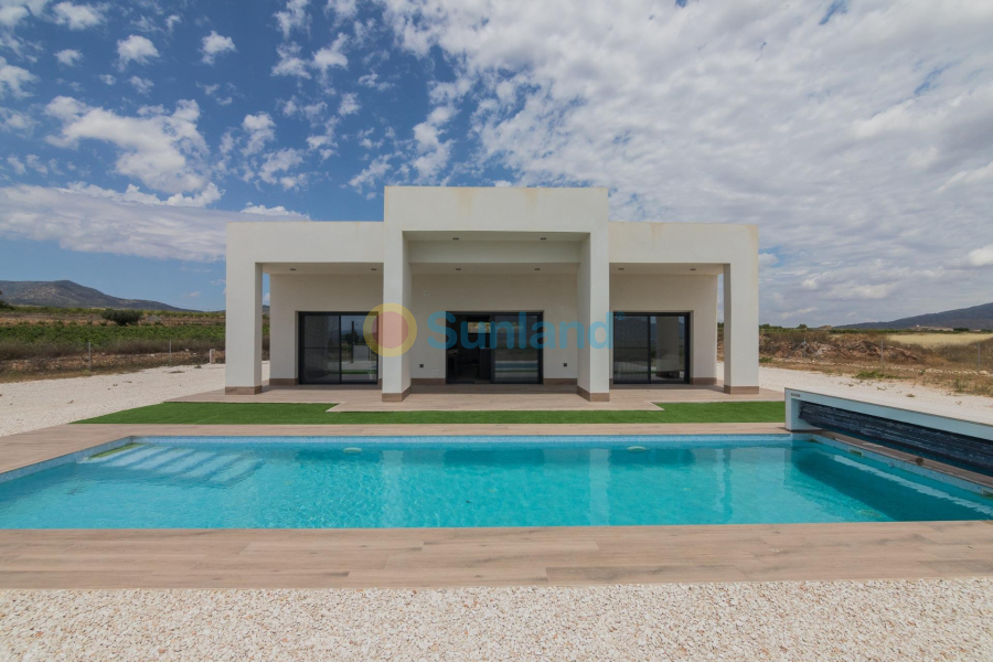 New Build - Villa - Pinoso - Campo