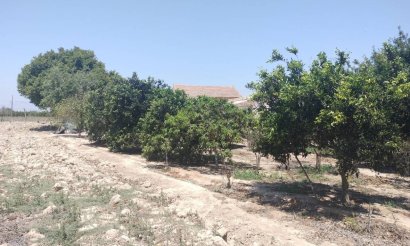 Resale - Finca / Country Property - Rojales - Ciudad Quesada