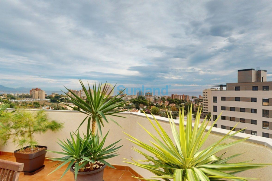 Brukte eiendommer - Leilighet - San Juan - San Juan de Alicante