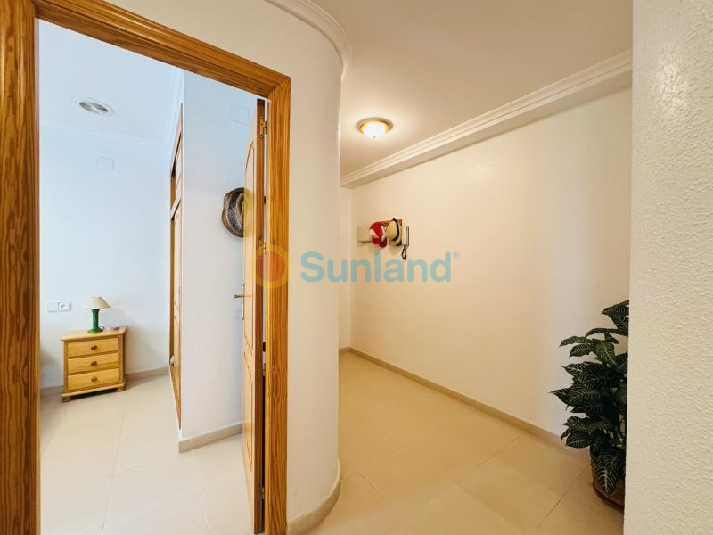 Resale - Apartment - La Mata