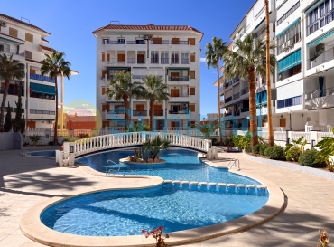 Apartamento - Använda fastigheter - Torrevieja - La Mata