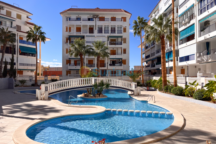 Använda fastigheter - Apartamento - Torrevieja - La Mata