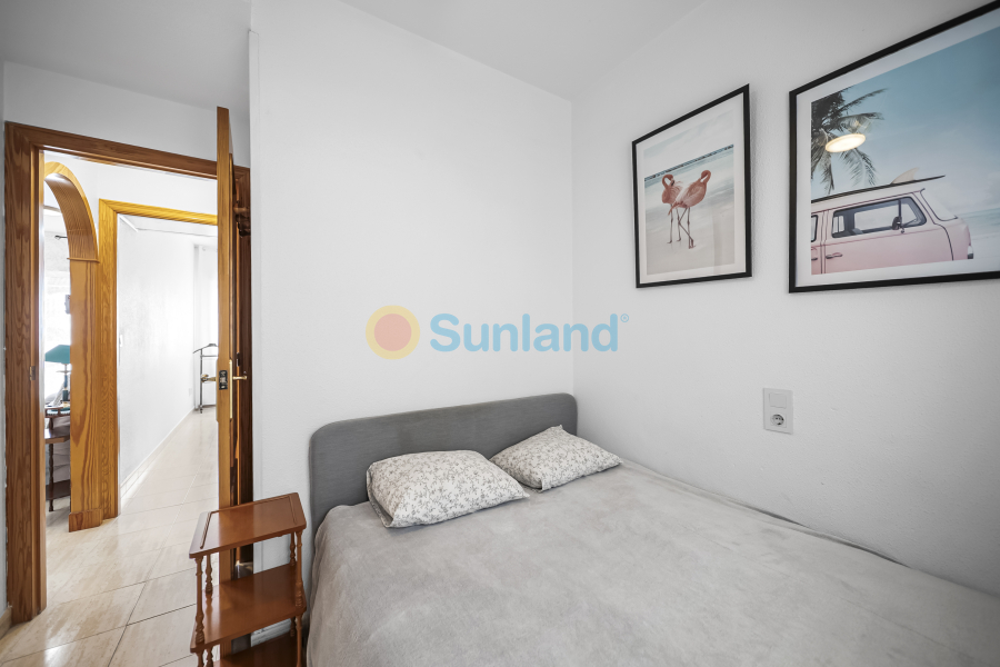 Använda fastigheter - Apartamento - Torrevieja - Centro