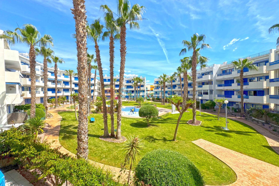 Segunda mano - Apartamento - Orihuela Costa - Playa Flamenca