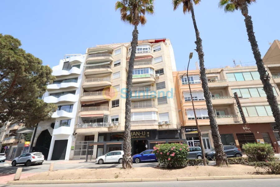 Segunda mano - Apartamento - Torrevieja