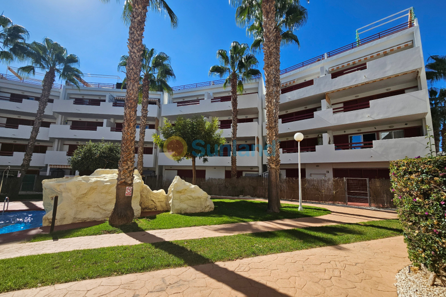 Segunda mano - Apartamento - Playa Flamenca - El Rincon